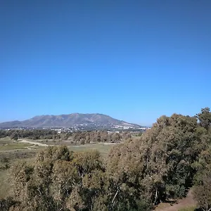 Sunny Malaga